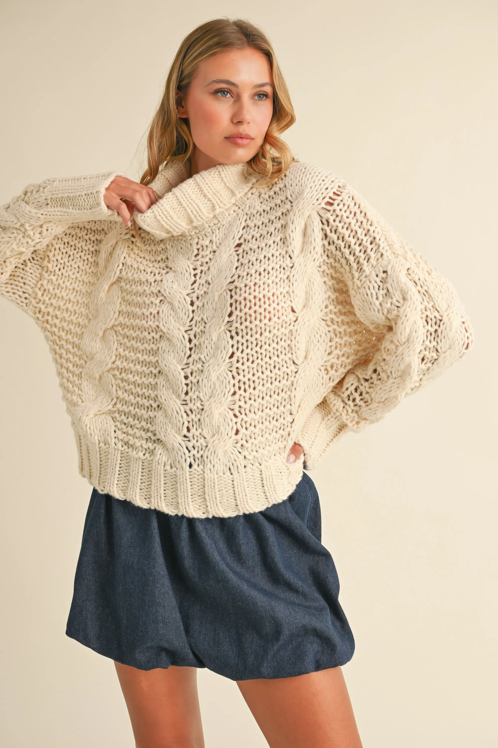 Chunky Knit Turtle Neck Sweater