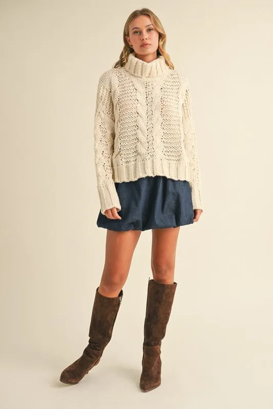 Chunky Knit Turtle Neck Sweater