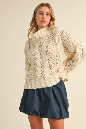 Chunky Knit Turtle Neck Sweater